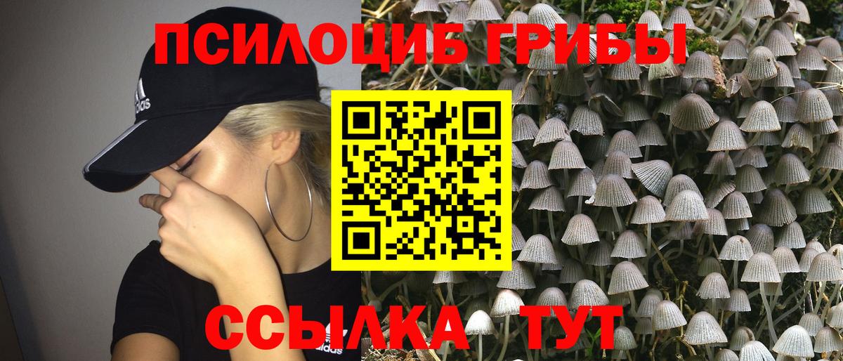 Галлюциногенные грибы Magic Shrooms Северск