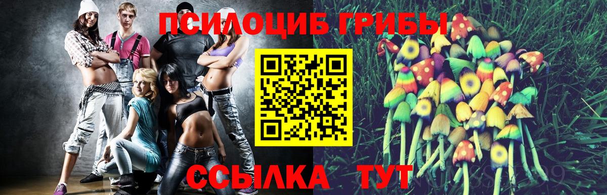 Северск  Псилоцибиновые грибы Psilocybine cubensis  Вход с VPN  Псилоцибиновые грибы ЛСД 